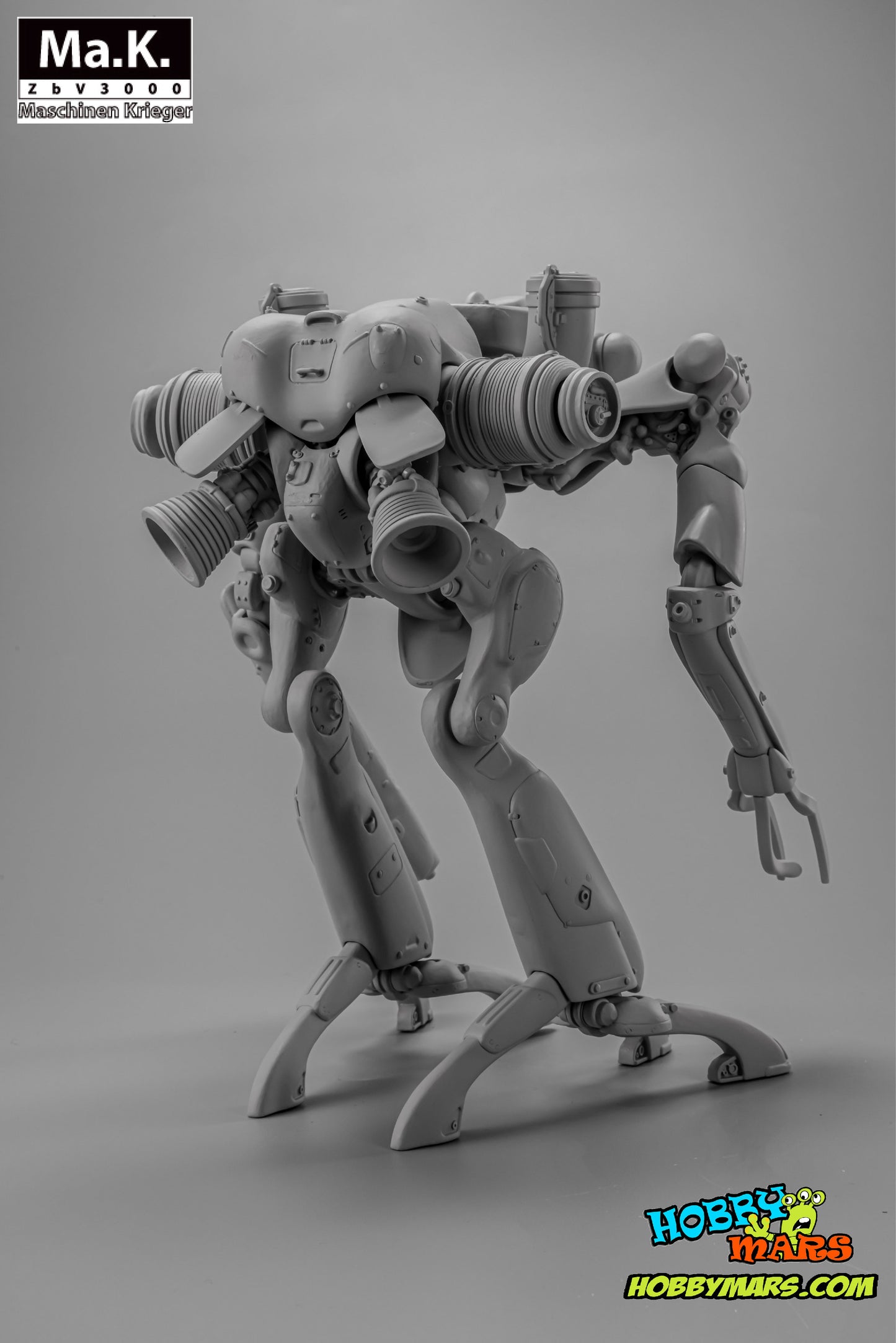 1/20 KING OF LUNA Ma.k SF3D